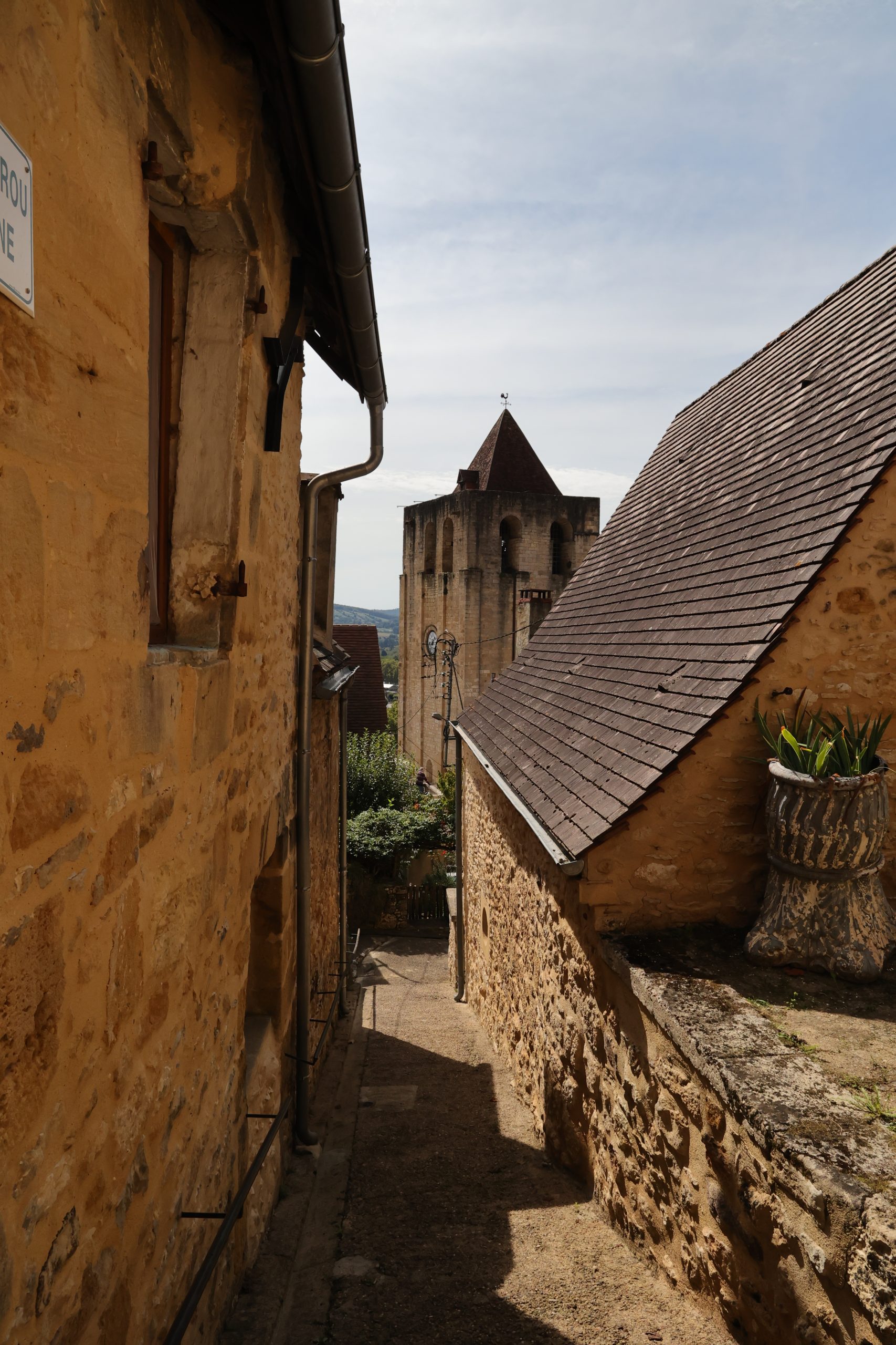 Vue du village de Saint-Cyprien en Périgord Noir
