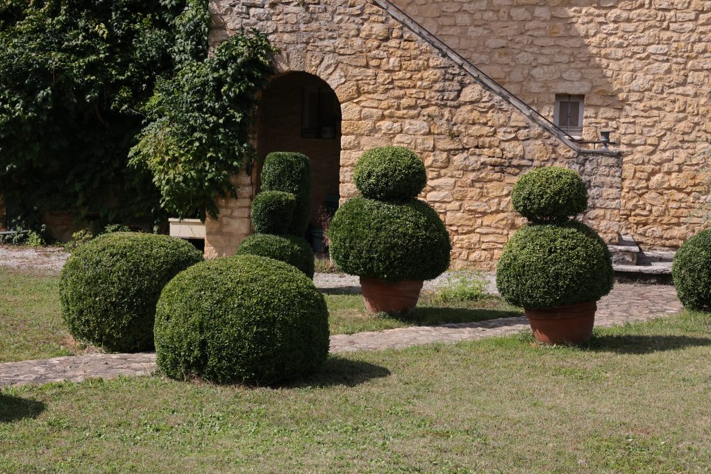 Jardin et piscine du gîte Le Priolat à Saint-Cyprien - vue 1